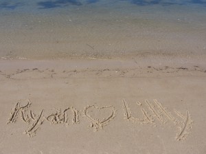 ryan loves lilly beach